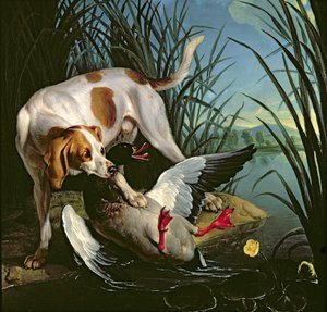 Hund med en vild anka