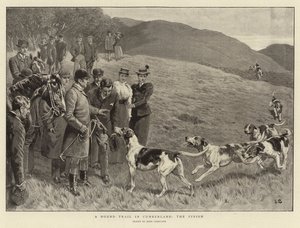 En hundspårväg i Cumberland, slutresultatet