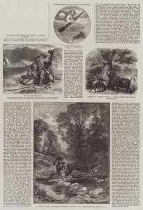 Illustrationer från Baldwins afrikanska jakt