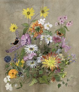 Sommarblommor