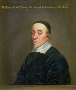 Porträtt av William Harvey (1578-1657)
