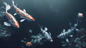 bläckmålning: Koi-Karpfisk_röd+vit_01