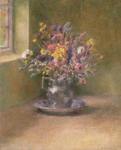 eviga blommor