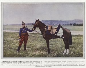 Afrikansk jägarebrigadgeneral