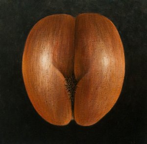 Coco de Mer, 2010 (akryl på duk)