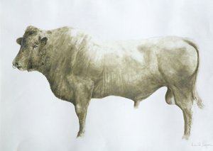 Islay Bull, 2004 (akryl på duk)