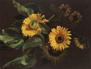 Solrosor, 1839