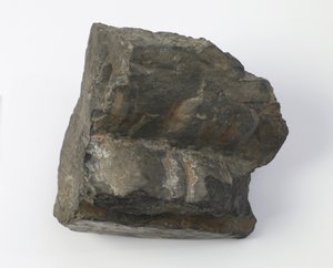 Fragment av en lotuspiedestal