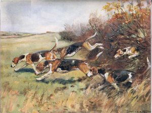 Efter doften, illustration från "Hounds"