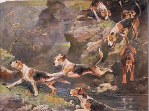 Over the River, illustration från "Hounds" (hundar)