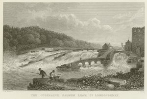 Coleraines laxhopp