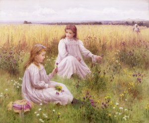 Ängsblommor