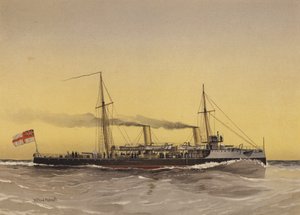 HMS Speedwell, torpedo gunboat 