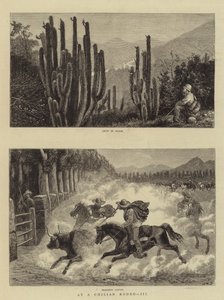 På en chilensk Rodeo, III