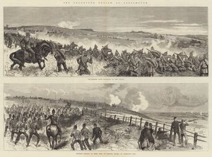 Volontärgranskningen i Portsmouth