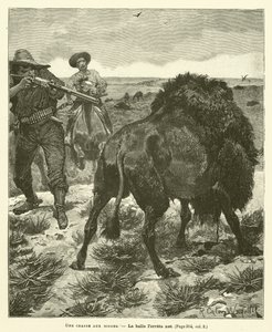En bisonjakt