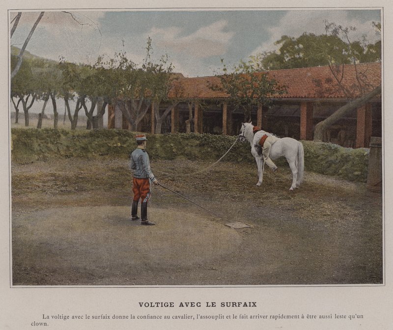 Vaulting with the Surcingle (färgad bild) av (after) French Photographer