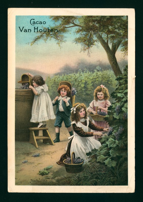 Barn som plockar vindruvor (chromolitho) av (after) French School