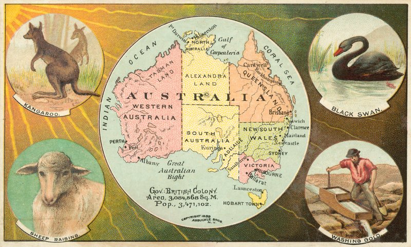 Australien av American School