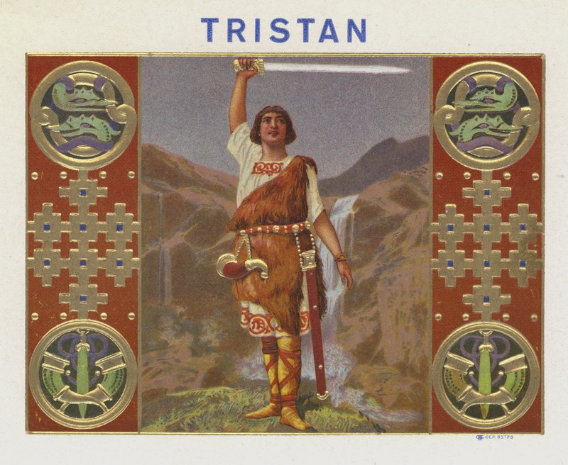 Tristan av American School