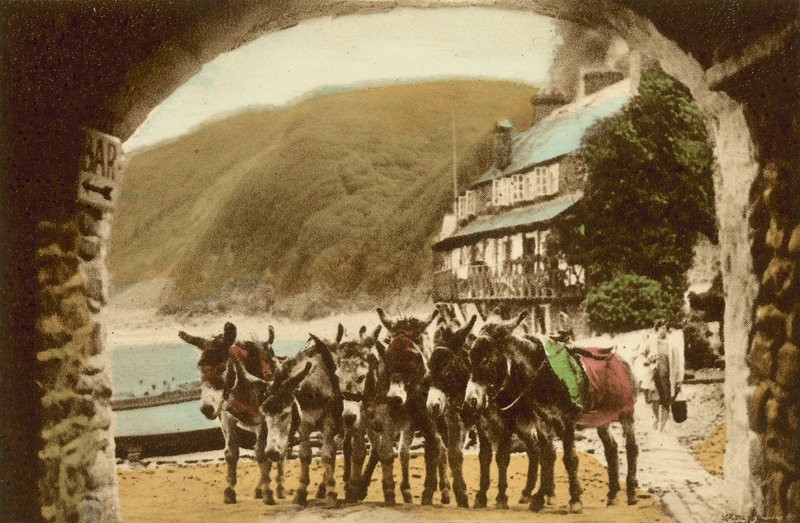Clovelly, Racing Stud av English Photographer