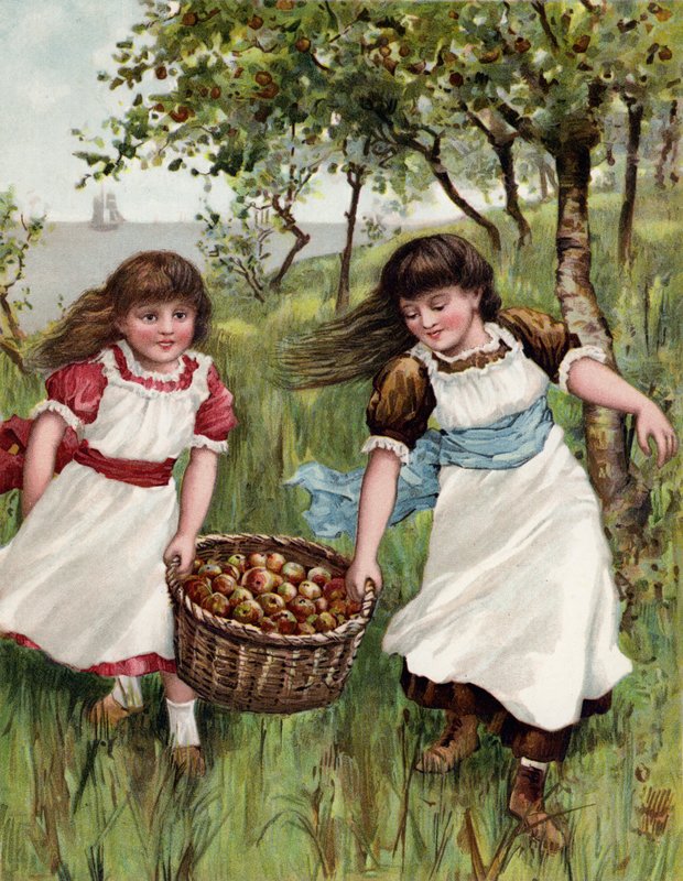 En korg med sommarfrukt av English School