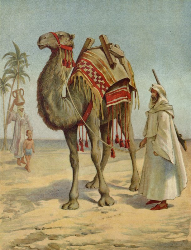 En arabisk köpman av English School