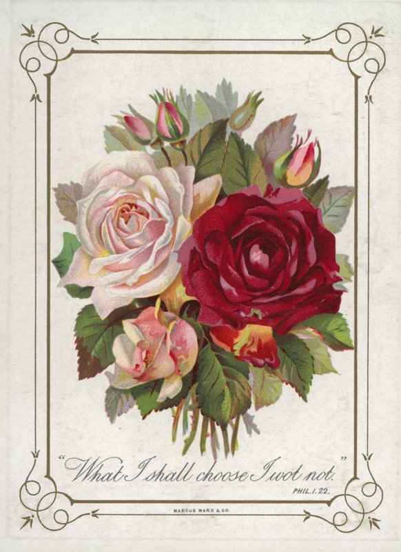 Posy av blommor av English School