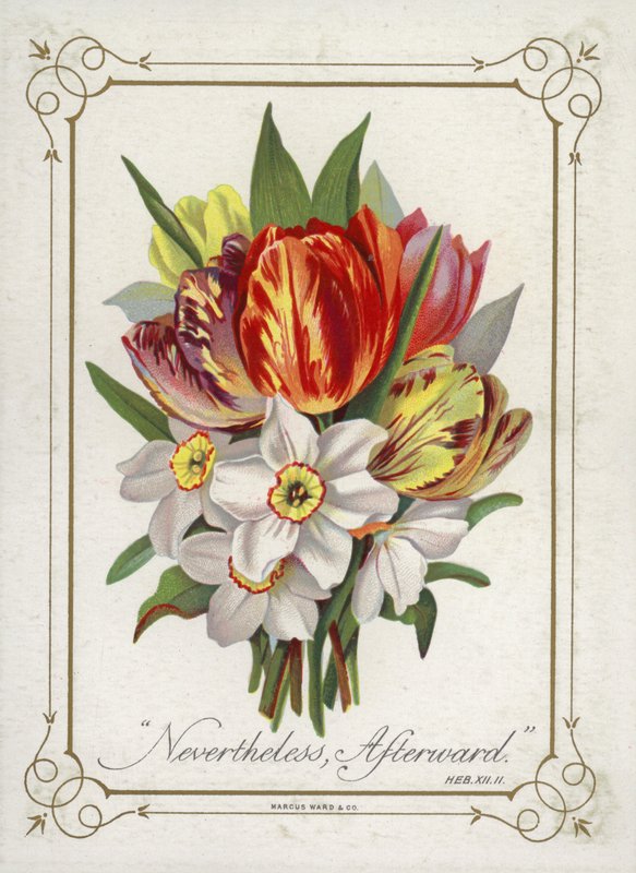 Posy av blommor av English School