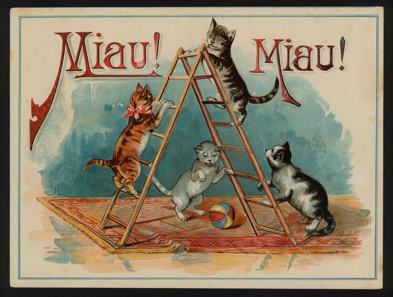 Mjau! Mjau! av European School