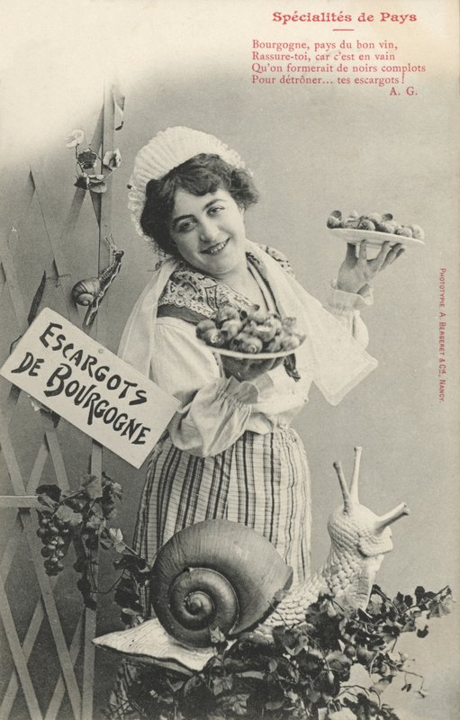 Bourgogne sniglar av French Photographer