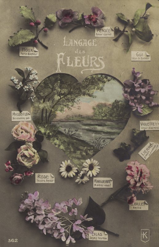 Blommornas språk av French Photographer
