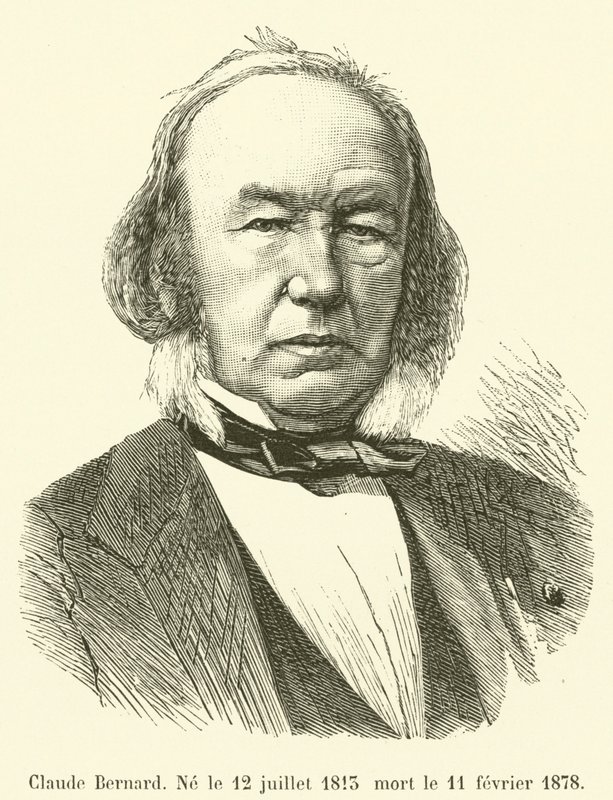 Claude Bernard, född 12 juli 1813, död 11 februari 1878 av French School