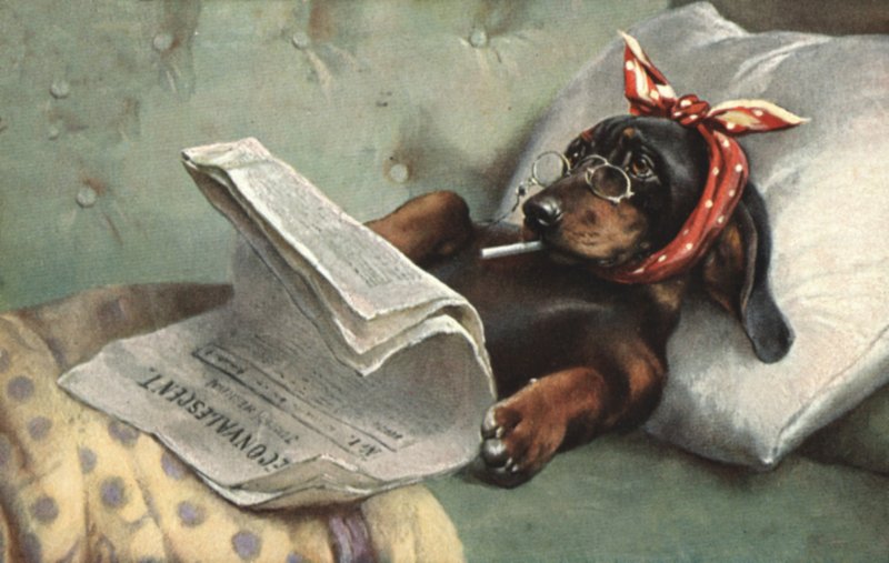 Hund som läser en tidning av French School