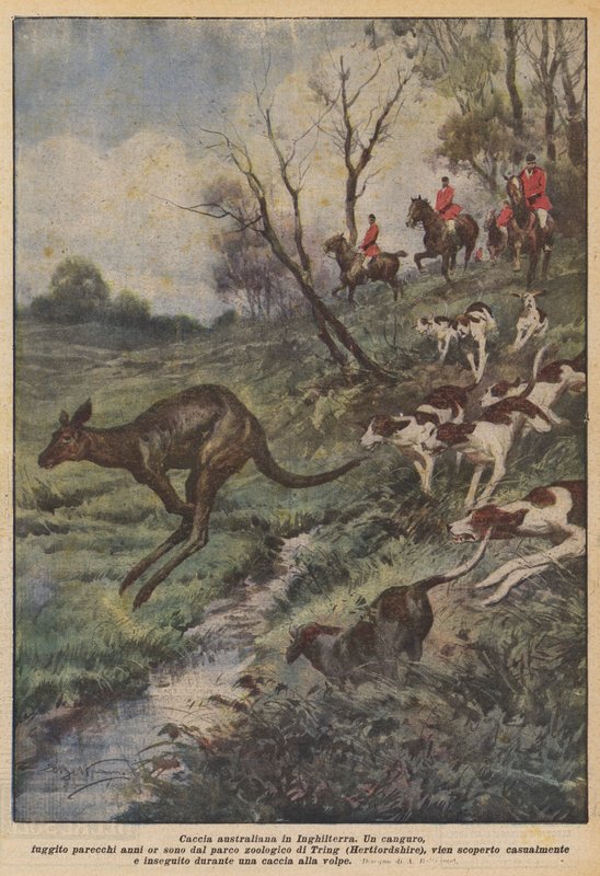 Australisk jakt i England av Achille Beltrame