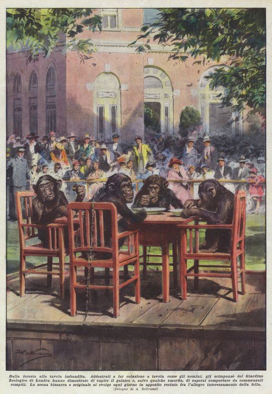 Från skogen till det dukade av Achille Beltrame