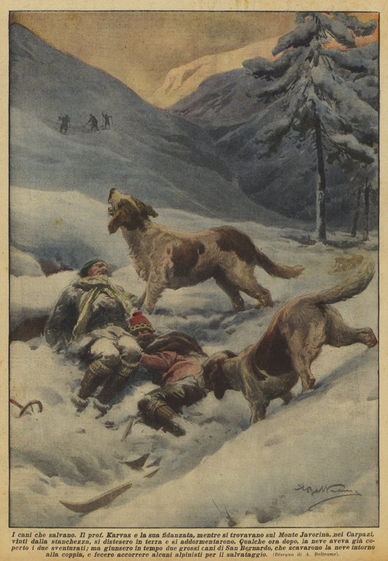 Hundarna som räddar av Achille Beltrame