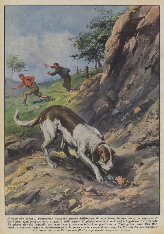 Hunden som räddar ägaren av Achille Beltrame