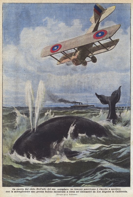 Jakten från himlen av Achille Beltrame