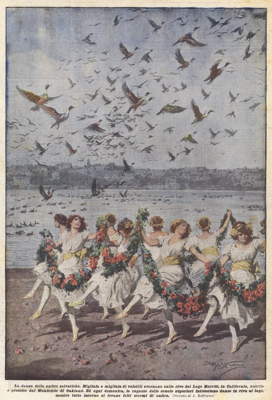 Vildändernas dans av Achille Beltrame