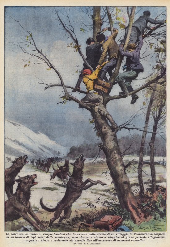 Frälsning på trädet av Achille Beltrame