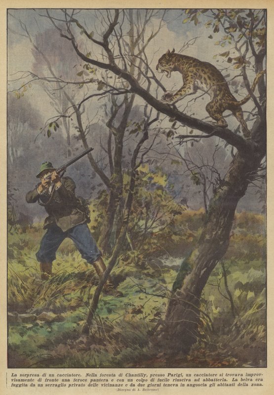 En jägares överraskning av Achille Beltrame