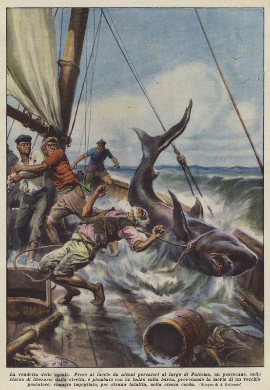 Hajens hämnd av Achille Beltrame