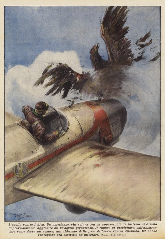 Örnen kontra propellern av Achille Beltrame