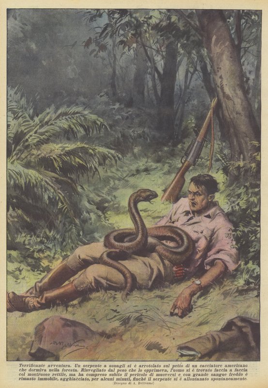 Skrämmande äventyr av Achille Beltrame