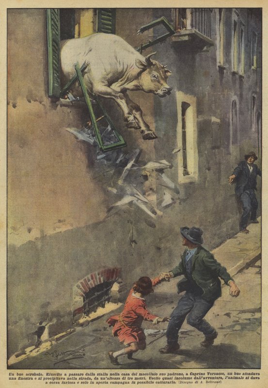 En akrobatoxe av Achille Beltrame