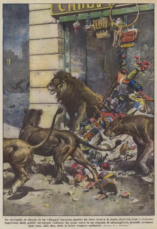Ett menageri på fri fot av Achille Beltrame