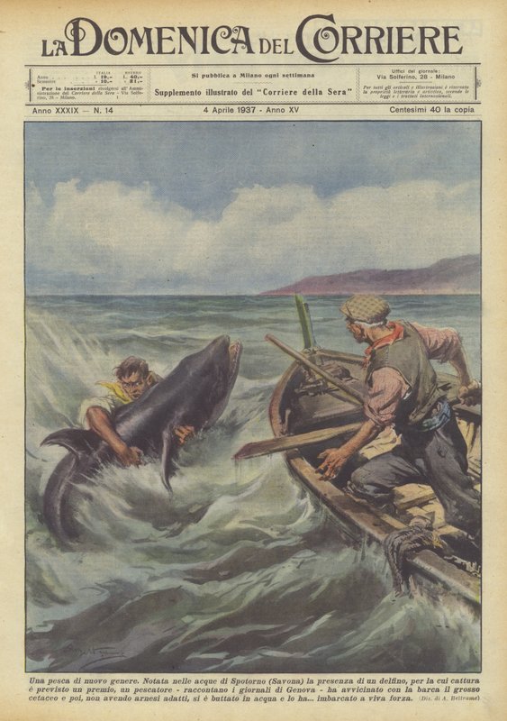 En ny sorts fiske av Achille Beltrame