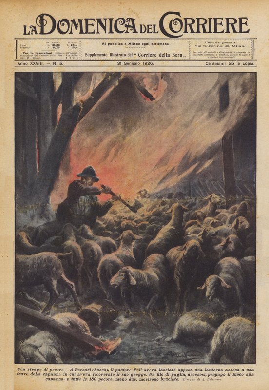 En slakt av får av Achille Beltrame