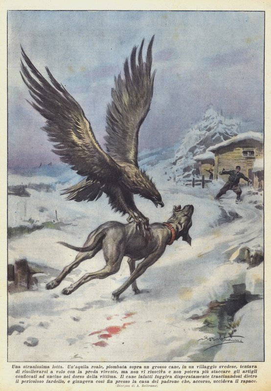 En mycket märklig kamp av Achille Beltrame